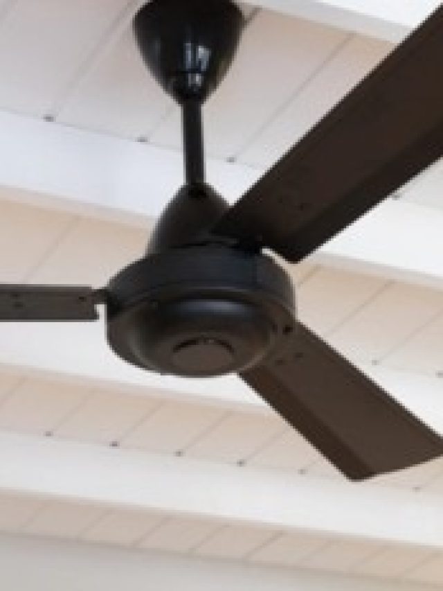 সিলিং ফ্যান সারাক্ষণ  চালালেও কারেন্টের  বিল কম আসবে, শুধু লাগান এই জিনিস