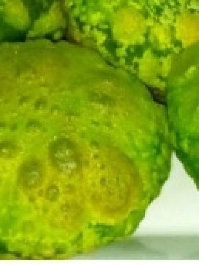 লুচি খেলেও পুরুষত্ব বাড়বে, যদি খান এই সবুজ লুচি, রেসিপি