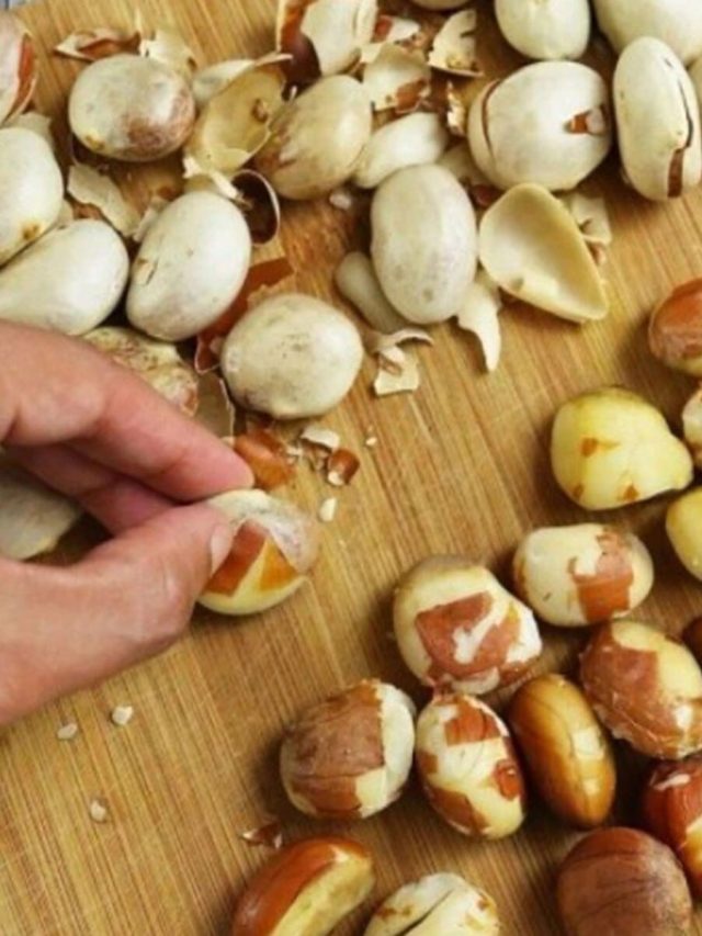 এই ফল খেলে খান নইলে ফেলে দিন, কিন্তু বিচিটি খেতে ভুলবেন না