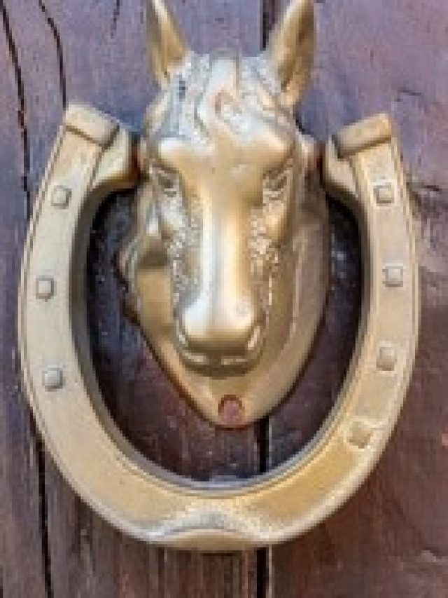 বাড়ির দরজায় ঝুলিয়ে দিন ঘোড়ার নাল, দারুণ খেলা হবে