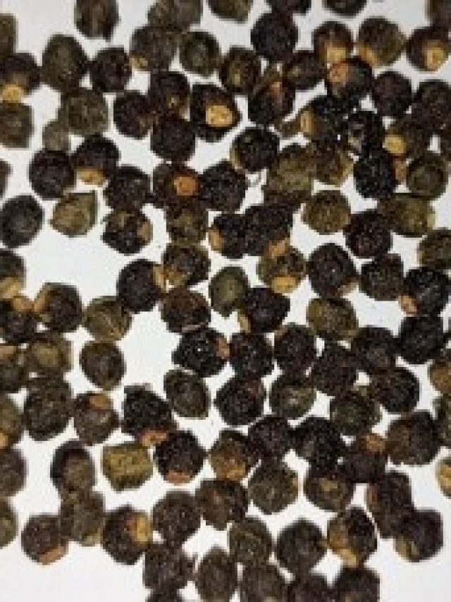 শক্ত পায়খানা গলে যাবে, কোষ্ঠকাঠিন্য  দূর হবে নিমেষে, খান এই শাকের বীজ