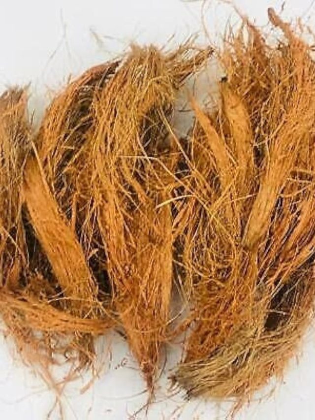 ফেলে দেওয়া ছোবড়া দিয়ে বানান সার, হু হু করে বাড়বে ফলন