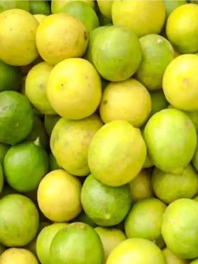 চড়া গরমেও পাতিলেবু থাকবে ১ মাস তাজা, রইল ৫ দুর্দান্ত উপায়