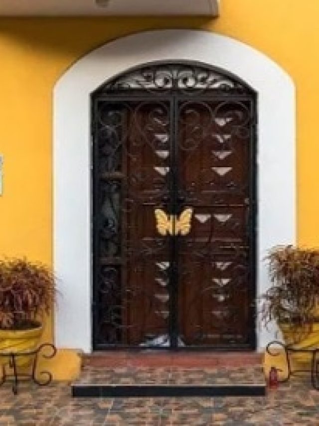 ঘরের দরজায় ছেটান এই জিনিস, দু'হাতে টাকা আসবে