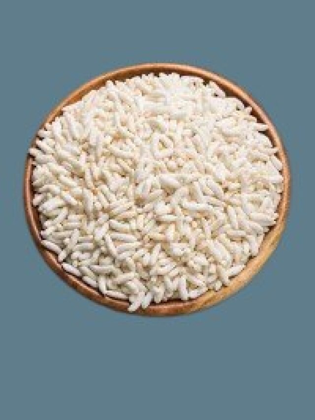 মুড়ি বেচেই লাখ টাকা কামাতে পারেন, কীভাবে ব্যবসা শুরু করবেন?