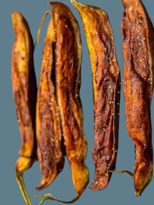 ডেকার্স লেনের বিখ্যাত বেগুন সুন্দরী, রেসিপিটা জানেন?