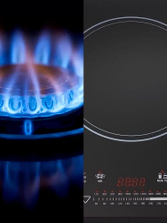 গ্যাস নাকি ইন্ডাকশন, কোনটাতে রান্না করা সবচেয়ে সুবিধাজনক?