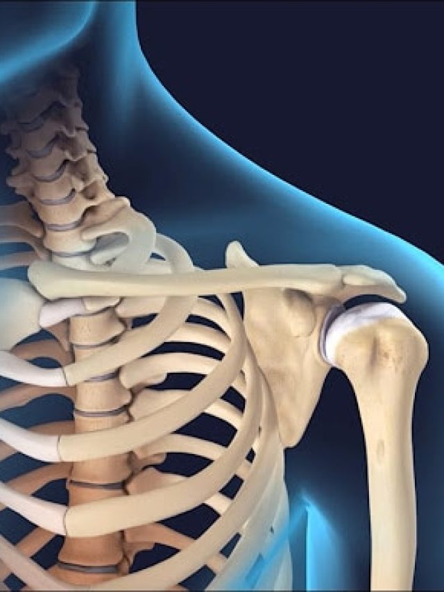 ৫৫-তেও থাকবে শক্তপোক্ত মজবুত হাড়, একাই একশো এই পাতা