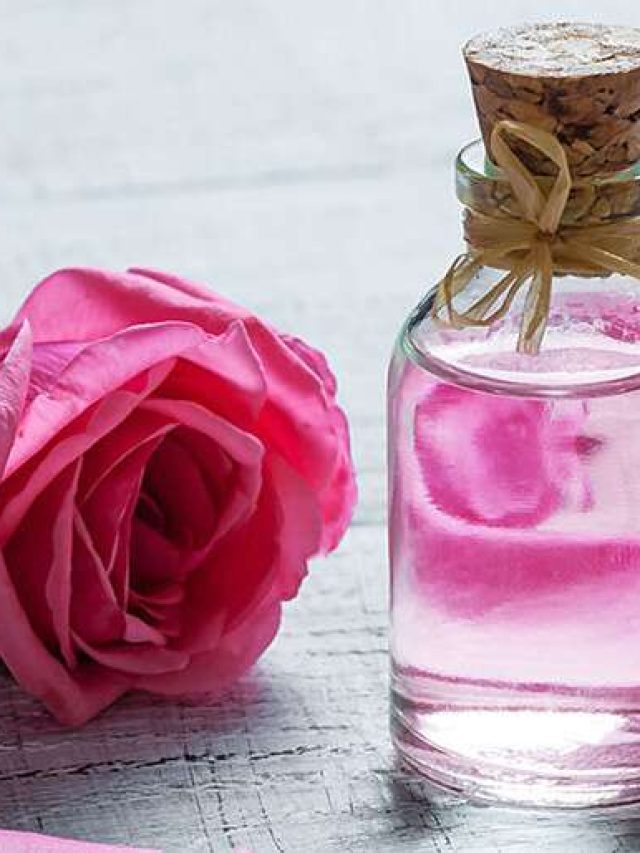 বাড়িতে মাত্র ৫ মিনিটে বানান গোলাপজল, রইল টিপস