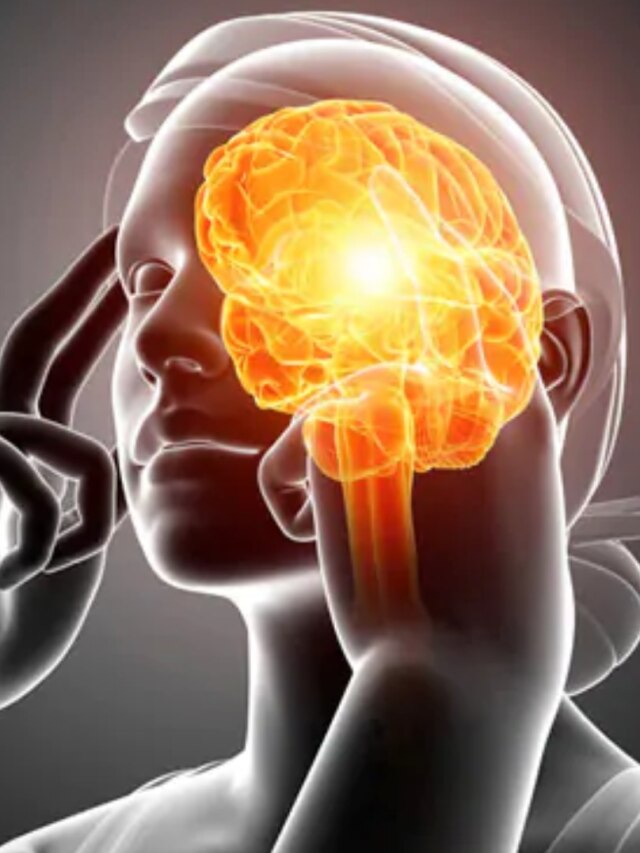 বুদ্ধির বারোটা বাজে, ভুলো মন, এই ৫ খাবার খেলেই মাথার সর্বনাশ