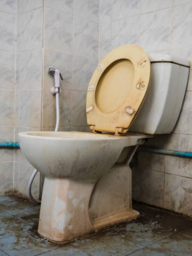ছিঃ! কমোডে নোংরা হলুদ ছাপ, কিচেনের দুই মশলায় এক রাতে সাফ হবে
