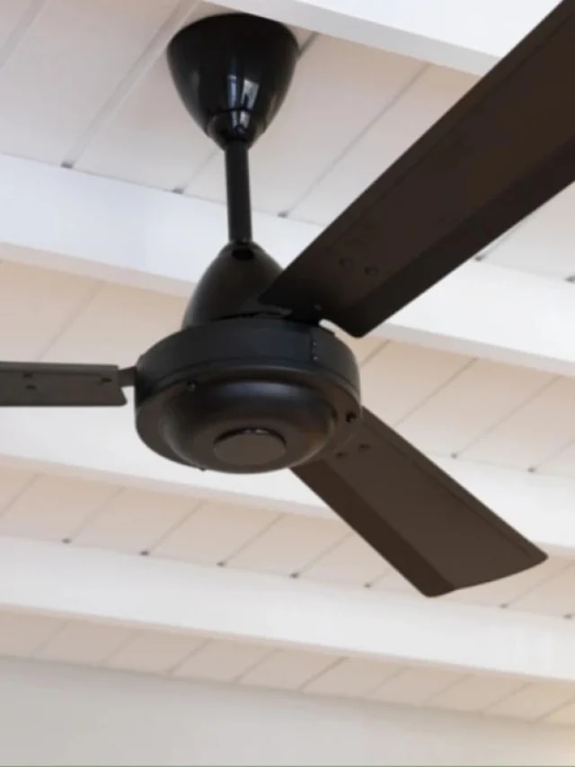 পুজোর আগে ফ্যান পরিষ্কার করতে আর ঝক্কি নেই, রইল সহজ ৩ ট্রিক