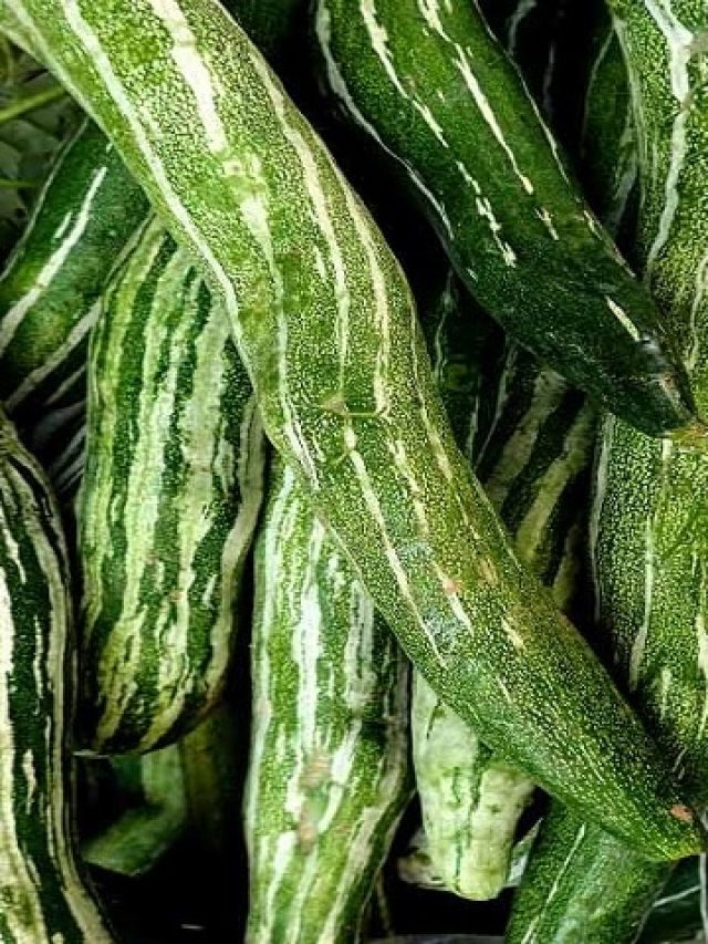 পেটের জেদি চর্বি কমিয়ে আপনি থাকবেন ছিপছিপে, পাতে রাখুন চেনা এই সবজি