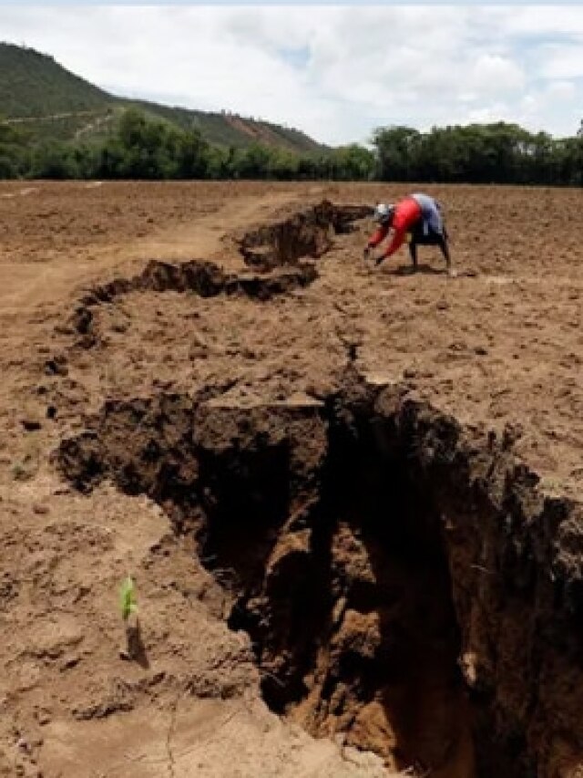 Formation of Earth's 6th ocean? Speculation arises as massive faultline appears in Africa