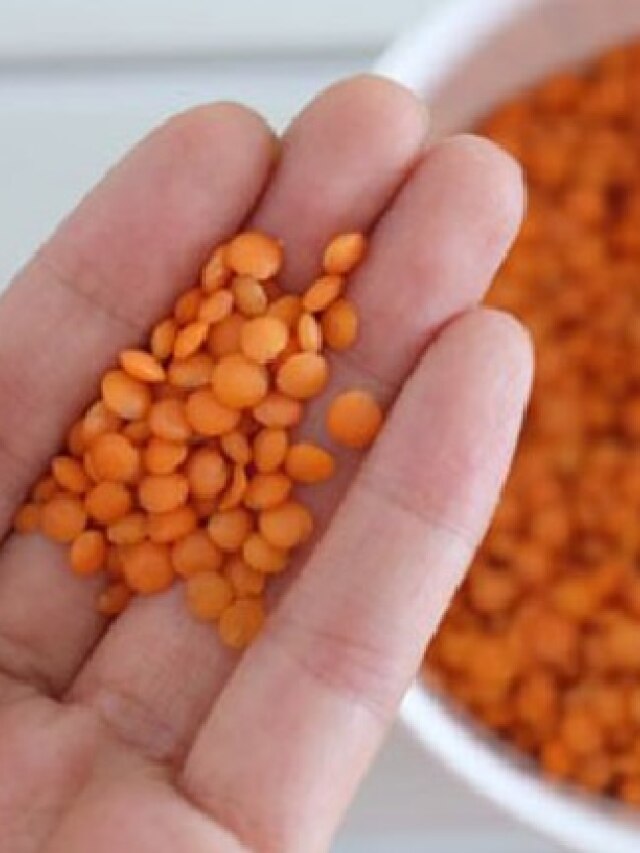 রান্নার আগে ডাল ভিজিয়ে রাখেন? কোন ডাল কতক্ষণ ভেজানো উচিত জানুন