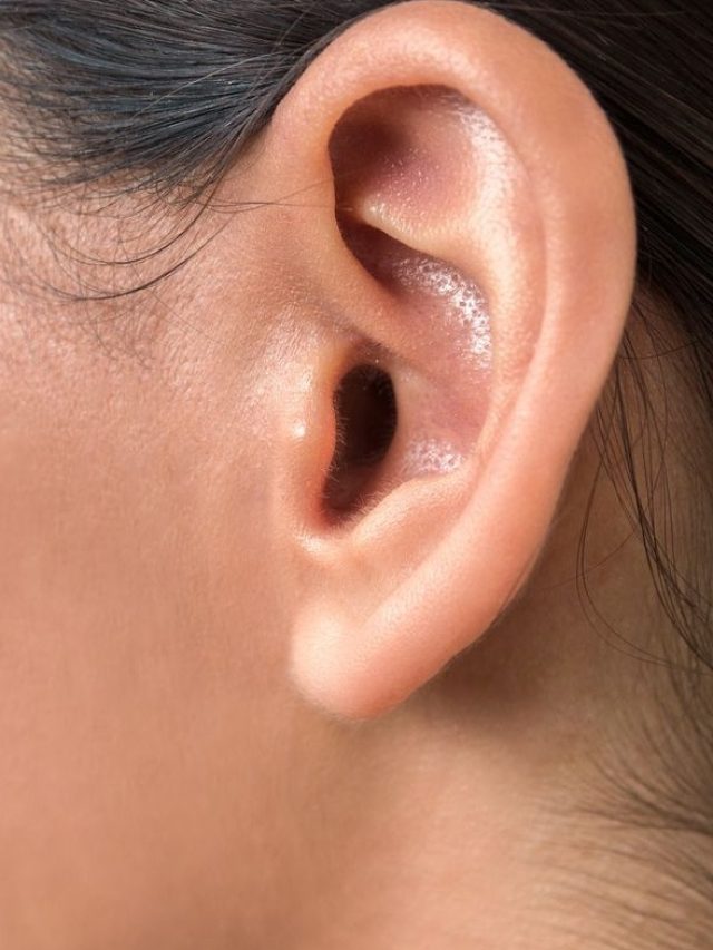 কান দেখে বুঝতে পারবেন আপনার আয়ু, জেনে নিন