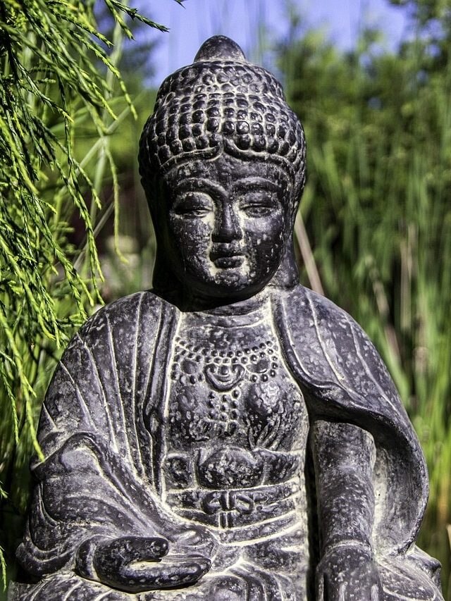 সম্পদ বাড়াতে বাড়িতে রাখুন এই ৫ ভাগ্যবান গাছ, Feng Shui টিপস