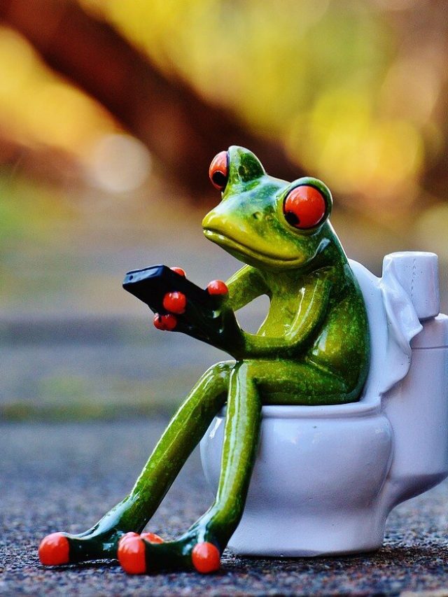 কোষ্ঠ্যকাঠিন্য দূর করতে দারুণ উপকারী এই ৭টি খাবার