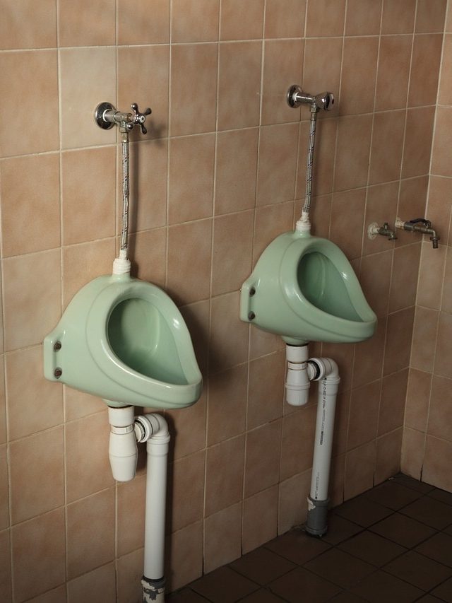 প্রস্রাব হলুদ মানেই শরীরে জলের ঘাটতি? বিশেষজ্ঞরা যা বলছেন