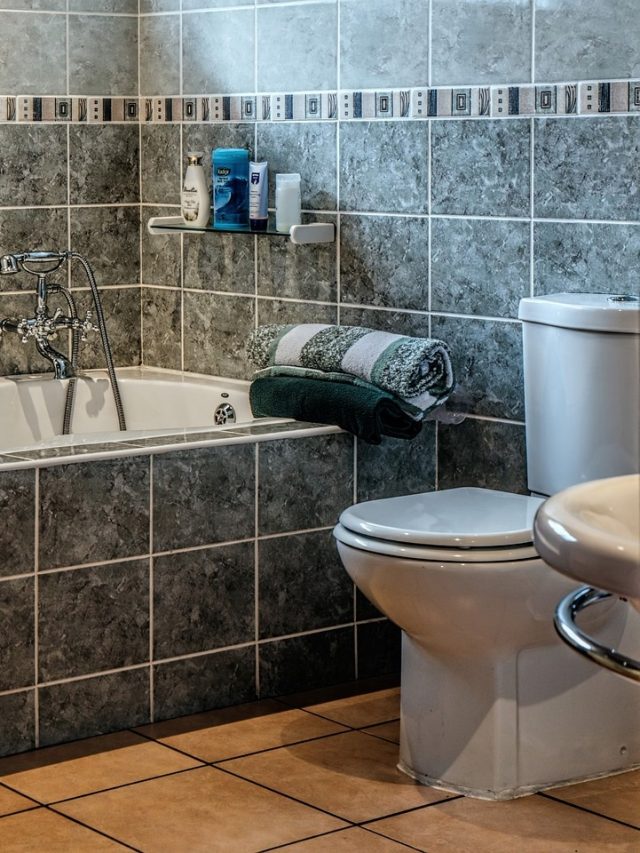 দামি প্রডাক্ট নয়, রান্নাঘরের এই ৩ জিনিসেই ঝকঝক করবে নোংরা বাথরুম