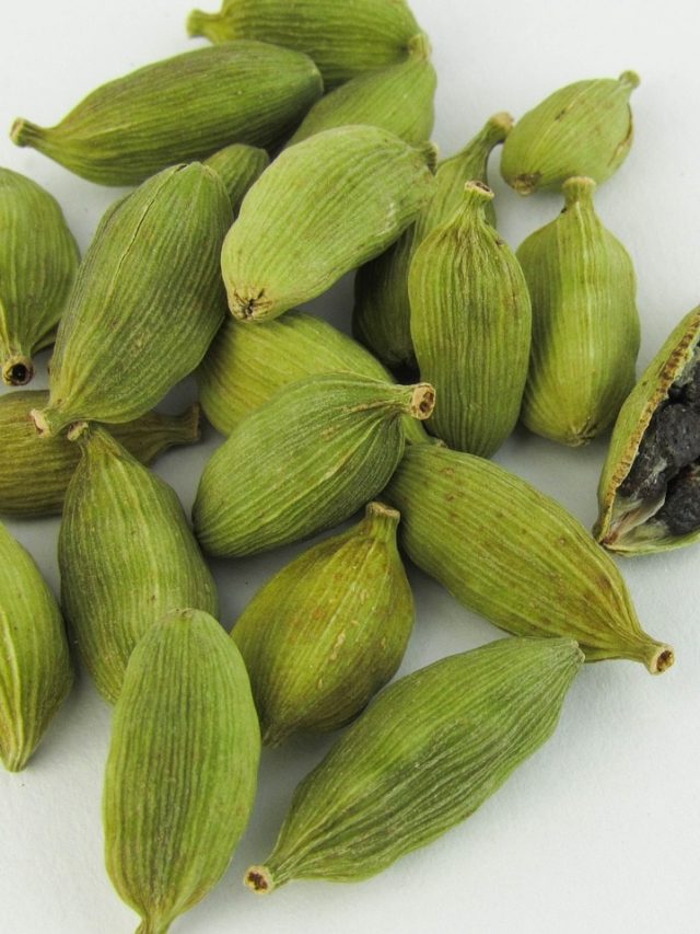 রাতে বালিশের নিচে রাখুন ২ টো এলাচ, সকালেই খেলা ঘুরবে