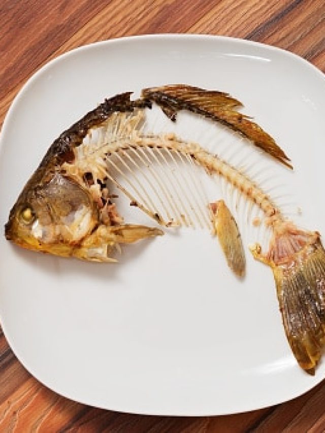 মাছের কাঁটা যতই বড় হোক, সেকেন্ডে নামবে; রইল দিদিমার টিপস