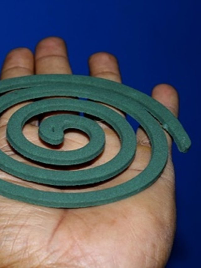 মশা মারার কয়েলেই মারণ- ফাঁদ! সাবধান না হলেই বিপদ