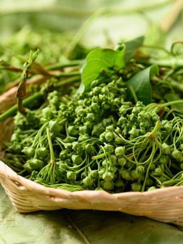 পুরুষত্ব লোহার মতো মজবুত হবে, শুধু খেতে হবে এই ফুল, কীভাবে খাবেন? জানুন