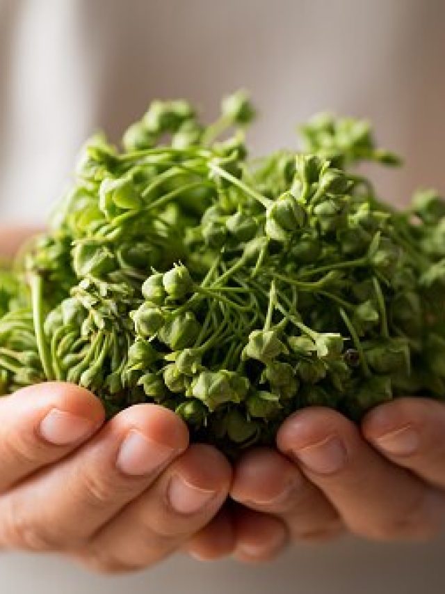 এই ফুল শুধু খান,  বাপ বাপ করে পালাবে সব রোগ, জোয়ান  থাকবেন আজীবন