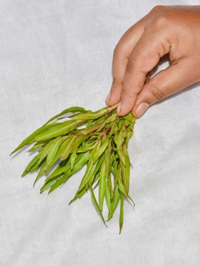 এক শাকে ডায়াবেটিস-ইউরিক অ্যাসিড-অ্যানিমিয়া হবে ধ্বংস, এভাবে বানিয়ে খান