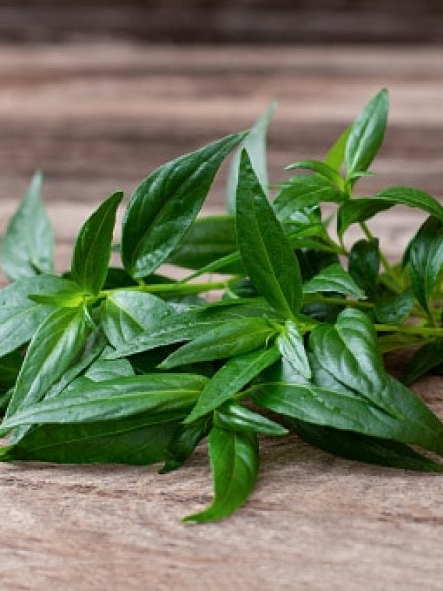 খিদে মরে সারাক্ষণ অরুচি? সমস্যা লিভারের, এই পাতাতেই প্রতিকার