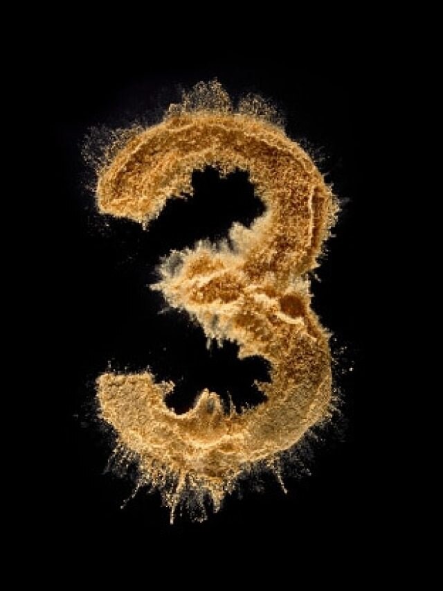 জন্মতারিখে ৩ আছে, চরিত্র-কেরিয়ার কেমন হয় জানেন?