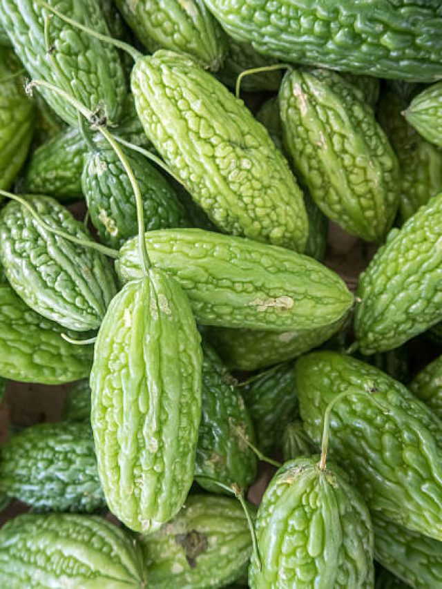 রোজ করলা এভাবে খেলে সুপার কমবেই, জানাটা জরুরি