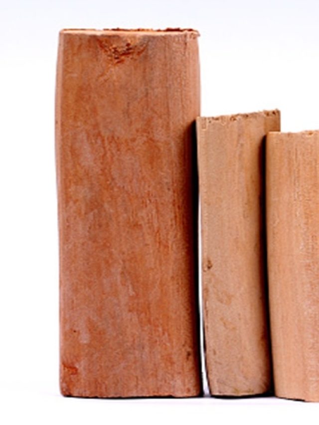 আসল না নকল? এই ট্রিকস জানলে বাজে চন্দন কাঠ কিনে ঠকবেন না