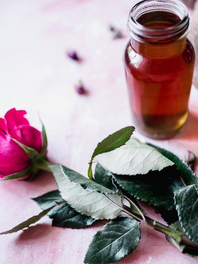 গরমে ত্বকের সব সমস্যার সমাধান, বাড়িতেই বানান বিশুদ্ধ গোলাপ জল