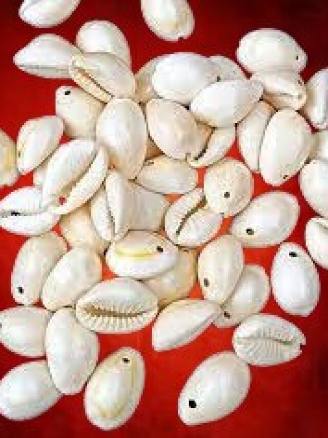 বাড়ির দরজায় কাপড়ে বেঁধে রাখুন ১১টি কড়ি, খেলা শুরু হবে পরদিনই