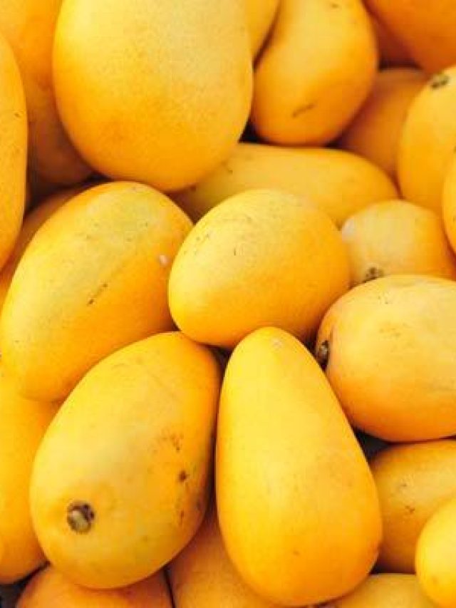 সারাবছর পান আমের স্বাদ, রাখুন এভাবে