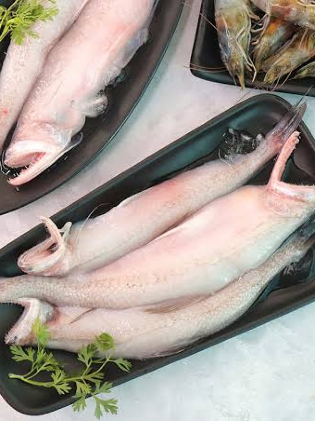 মুখে দিতেই কাটবে ল্যাদ, নাক সিঁটকালেও লইট্টার গুণের শেষ নেই