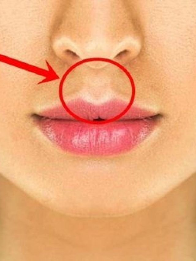 নাক আর ঠোঁটের মাঝের অংশটিকে কী বলে জানেন?