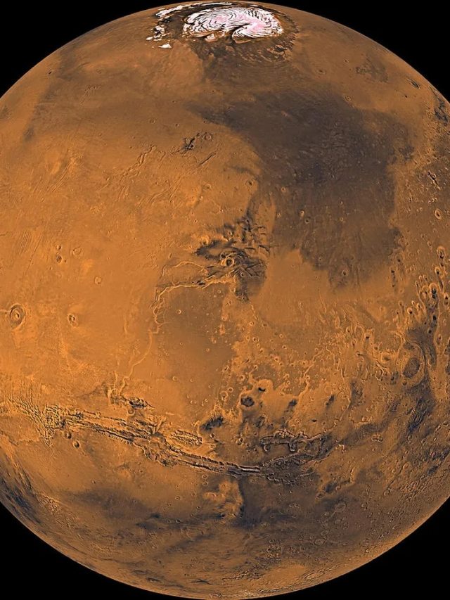 This Russian individual alleges a past life on Mars, reincarnates on Earth to caution humanity