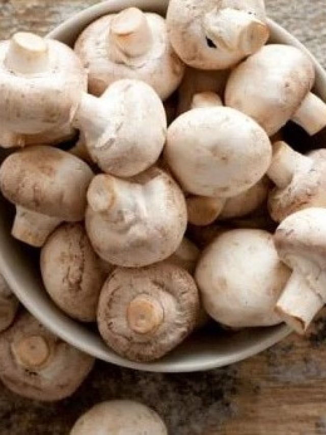 বুড়ো বয়সেও হাড়ের জোর থাকবে জোয়ানদের মতো, কামাল দেখাবে ব্যাঙের ছাতা