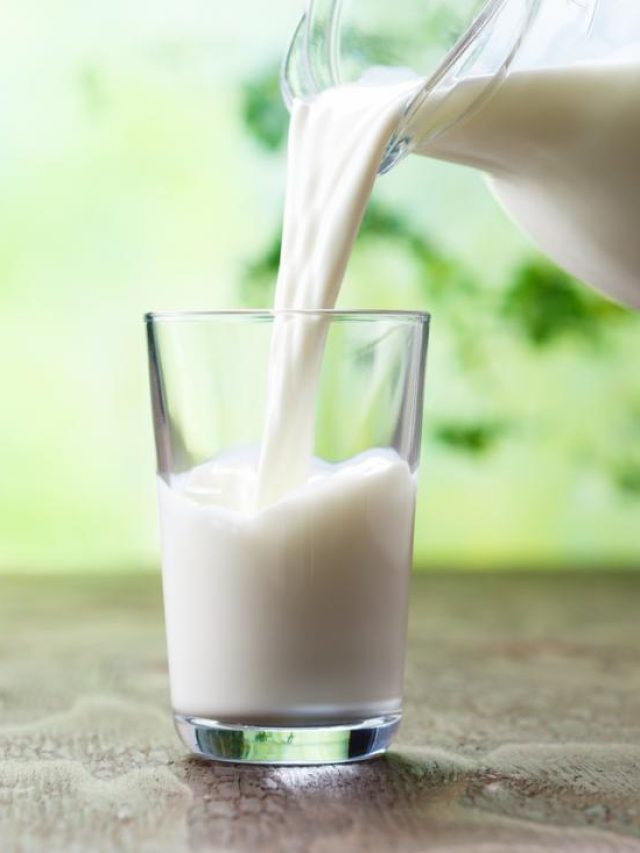 বাধ্য হবে ডায়াবেটিস, আপনি থাকবেন সুগার-ফ্রি, গরু-ছাগল ছেড়ে খান এই প্রাণীর দুধ