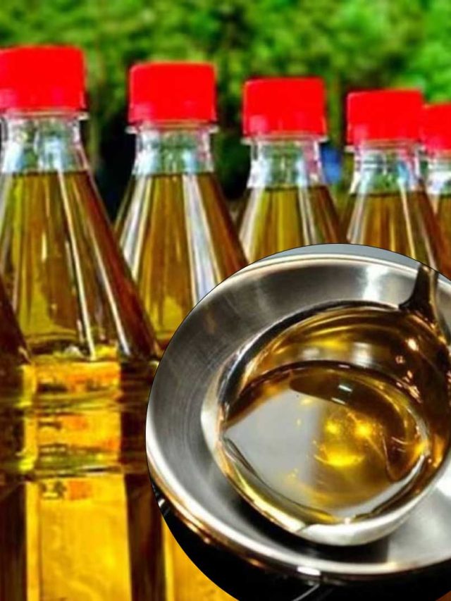 জব্দ হবে কোলেস্টেরল-ভাল থাকবে হার্ট, এই তেলে রান্না করুন