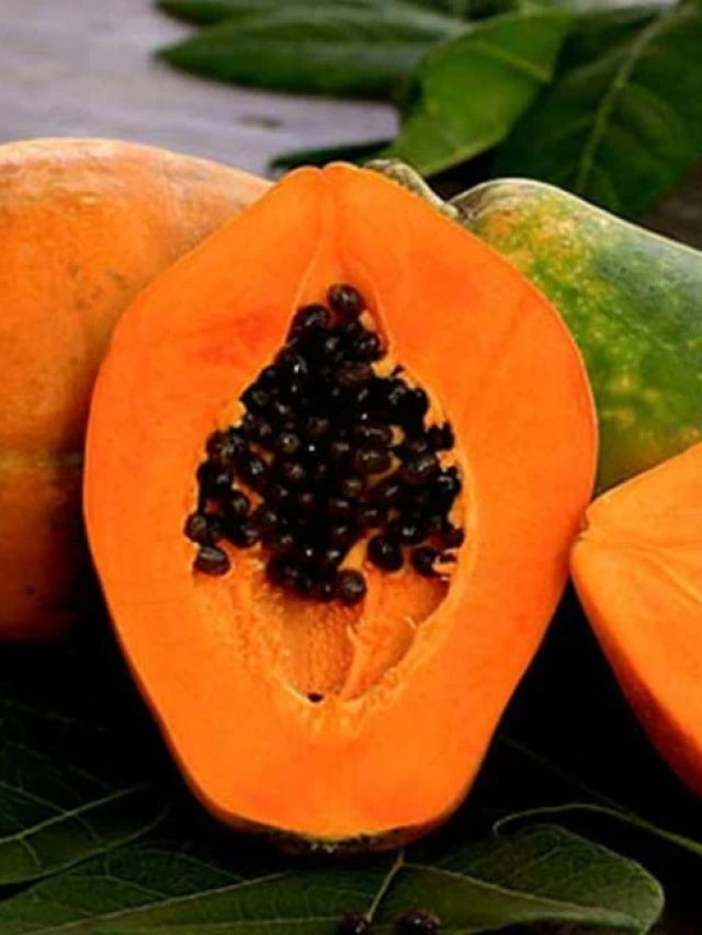 রোজ খান পেঁপে, বলে বলে পাবেন ৫ লাভ