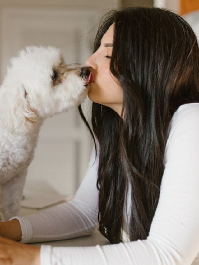 প্রেমে পড়লে এতকিছু বদলে যায় মেয়েদের! লক্ষণগুলি জানেন?