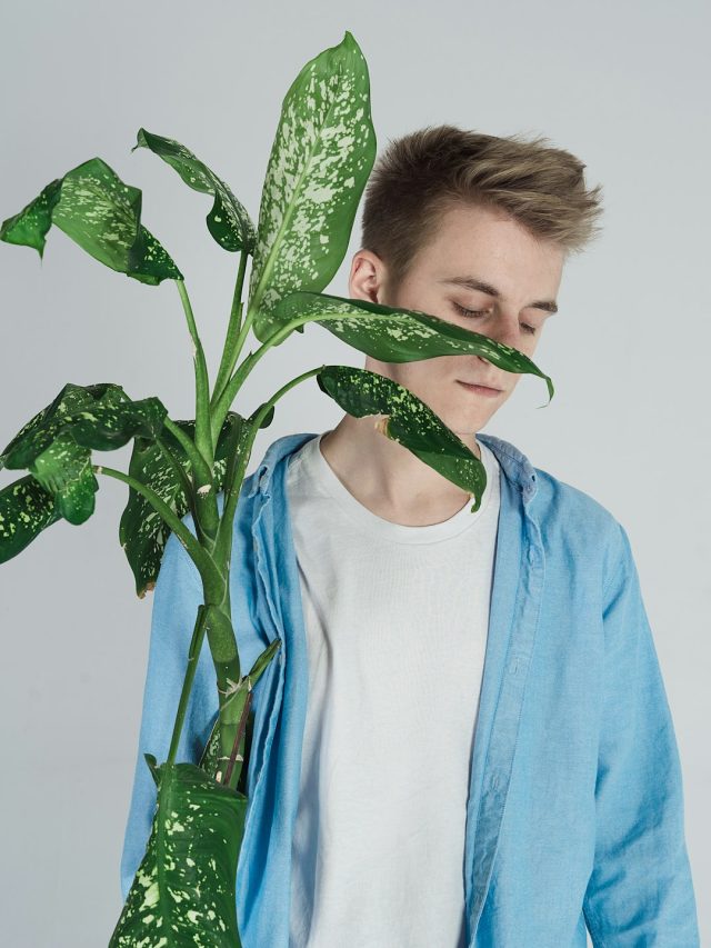 কেন রাতে গাছের পাতা ছিঁড়তে নেই? আসল কারণটা জানেন কি