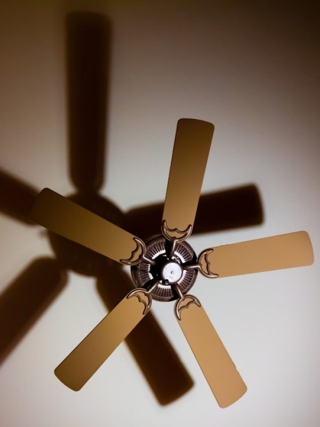 এই মরশুমে ফ্যান চালিয়ে ঘুমোচ্ছেন রোজ? এই ৫ জিনিস জেনে রাখুন