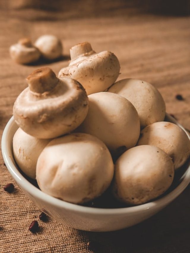 চির যৌবন ধরে রাখতে চান? স্বপ্ন পূরণ করতে পারে ব্যাঙের ছাতা