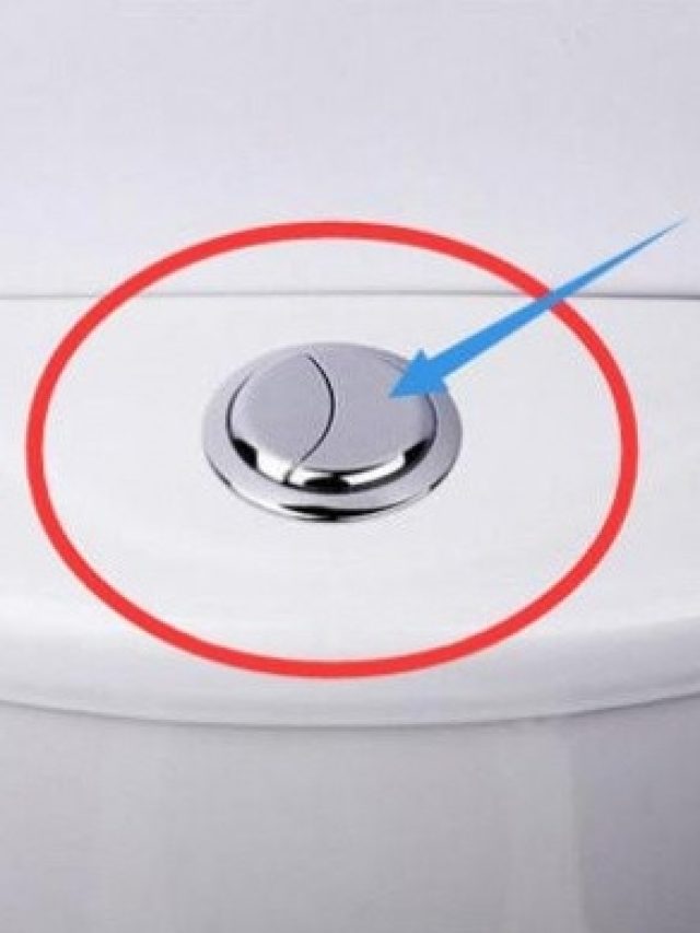 কোমডের ফ্লাশে দুটি বোতাম থাকে কেন? এর সঠিক ব্যবহার জেনে নিন