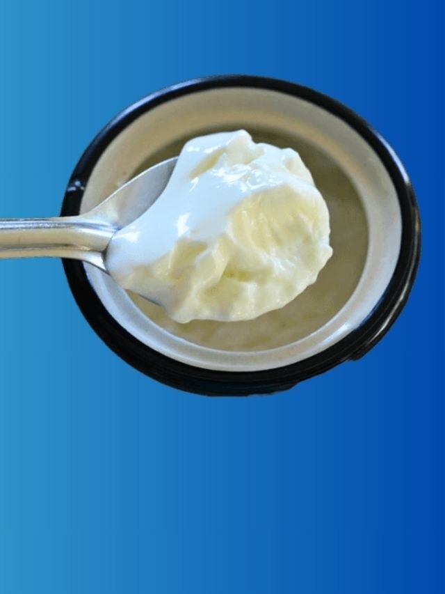 টক দই হবে টাইট, থকথকে ঘন, গরমে ঘরে পাতুন এভাবে